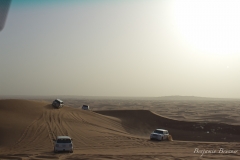 Desert Safari