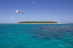 Great Barrier Reef