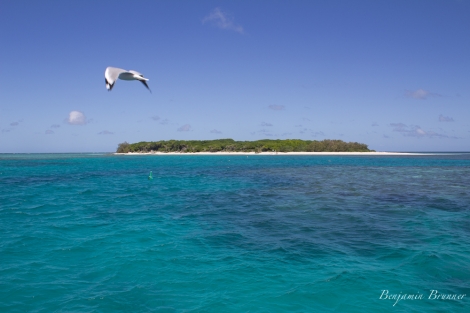 great_barrier_reef-3293