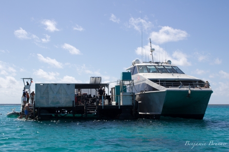 great_barrier_reef-3403