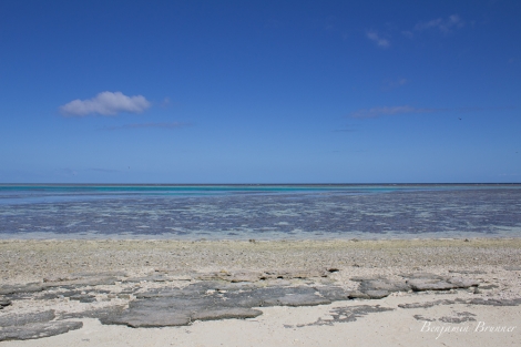 great_barrier_reef-3480