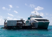 great_barrier_reef-3403