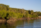 great_barrier_reef-3570