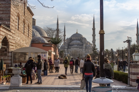 istanbul-7915.jpg