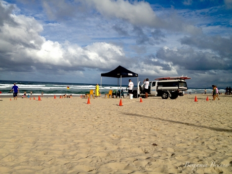 surfers-0316
