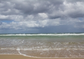 surfers-3029