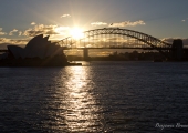 sydney-4597